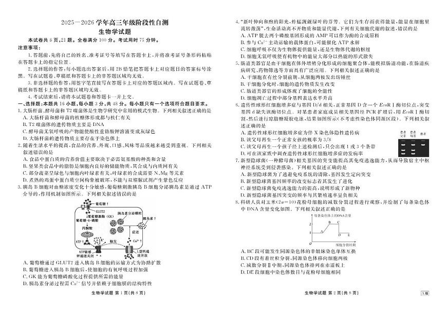 2025-2026学年衡水金卷河南省高三上学期12月阶段性自测生物学试卷（有解析）第1页
