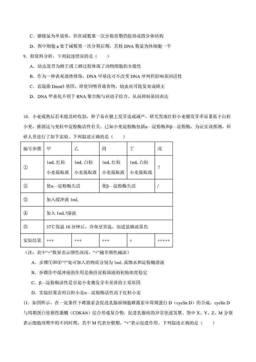 2025-2026学年浙江省温州市强基联盟高二上学期12月月考生物试卷（有答案）第3页