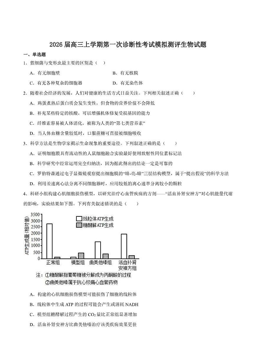 2026届四川省广安市字节精准教育联盟高三上学期第一次诊断性考试模拟测评生物试卷（有答案）第1页