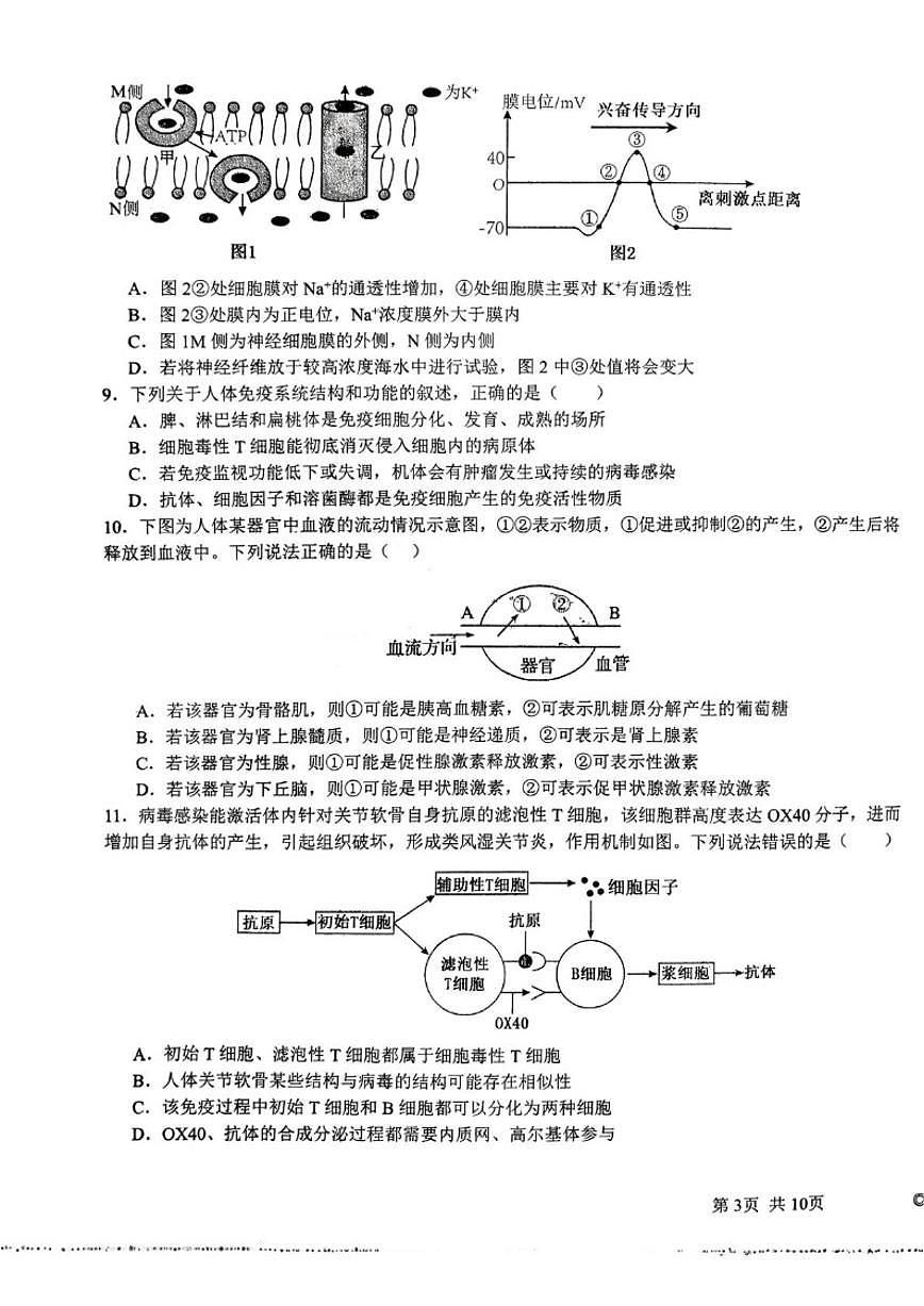 2025-2026学年湖北省黄冈市黄梅县第一中学高二上学期生物月考试题（有答案）第3页
