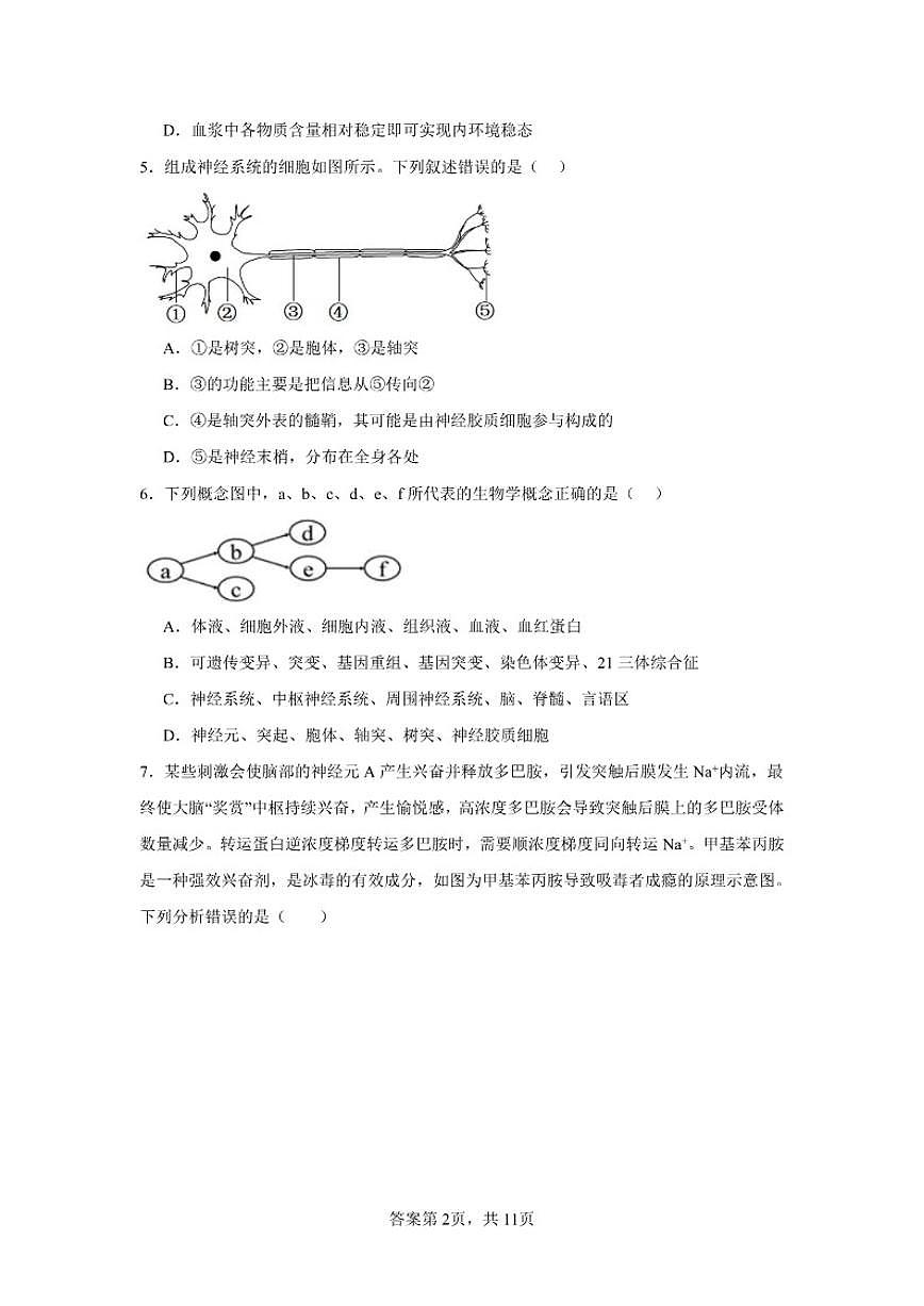 2025-2026学年黑龙江省佳木斯市桦南县第一中学高二上学期第一次月考生物试题（有答案）第2页