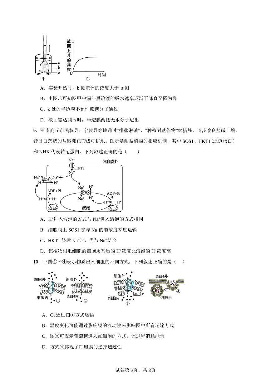 2025-2026学年安徽省六安市裕安区独山中学高一上学期12月月考生物试题（有答案）第3页