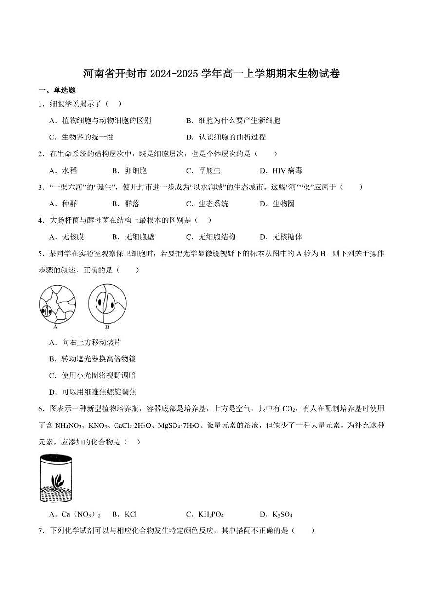 2024-2025学年河南省开封市高一上学期期末调研生物试卷（有答案）第1页