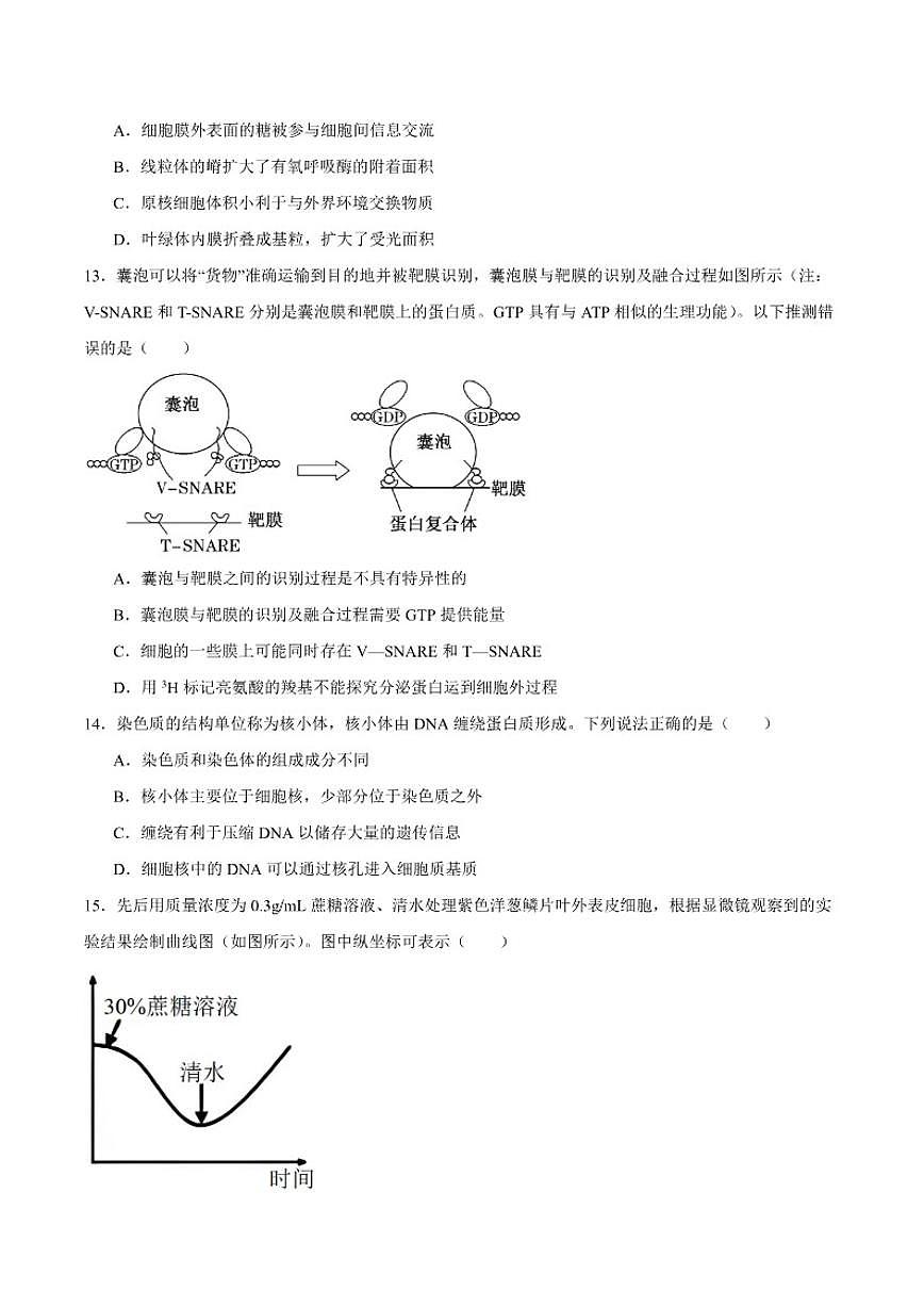 2024-2025学年河南省开封市高一上学期期末调研生物试卷（有答案）第3页