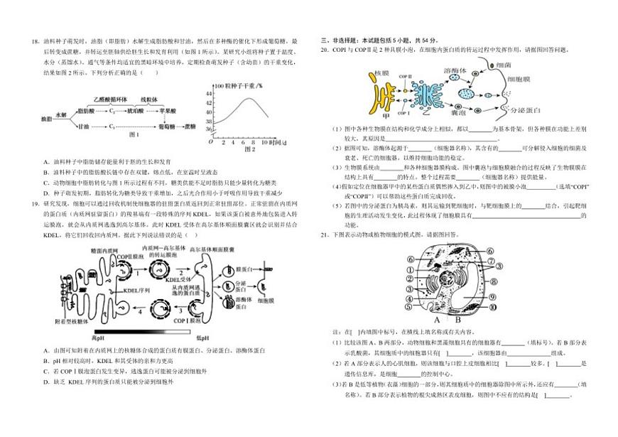 2025-2026学年江西省赣州市南康中学高一上学期第三次大考生物试题（有答案）第3页