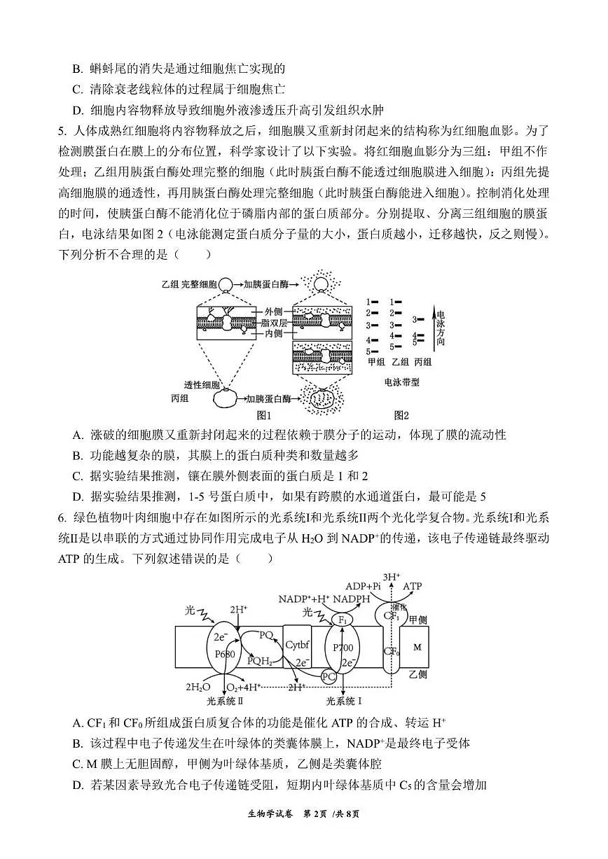 2025-2026学年云南省曲靖市第一中学高三上学期教学质量检测四生物学试题（有答案）第2页