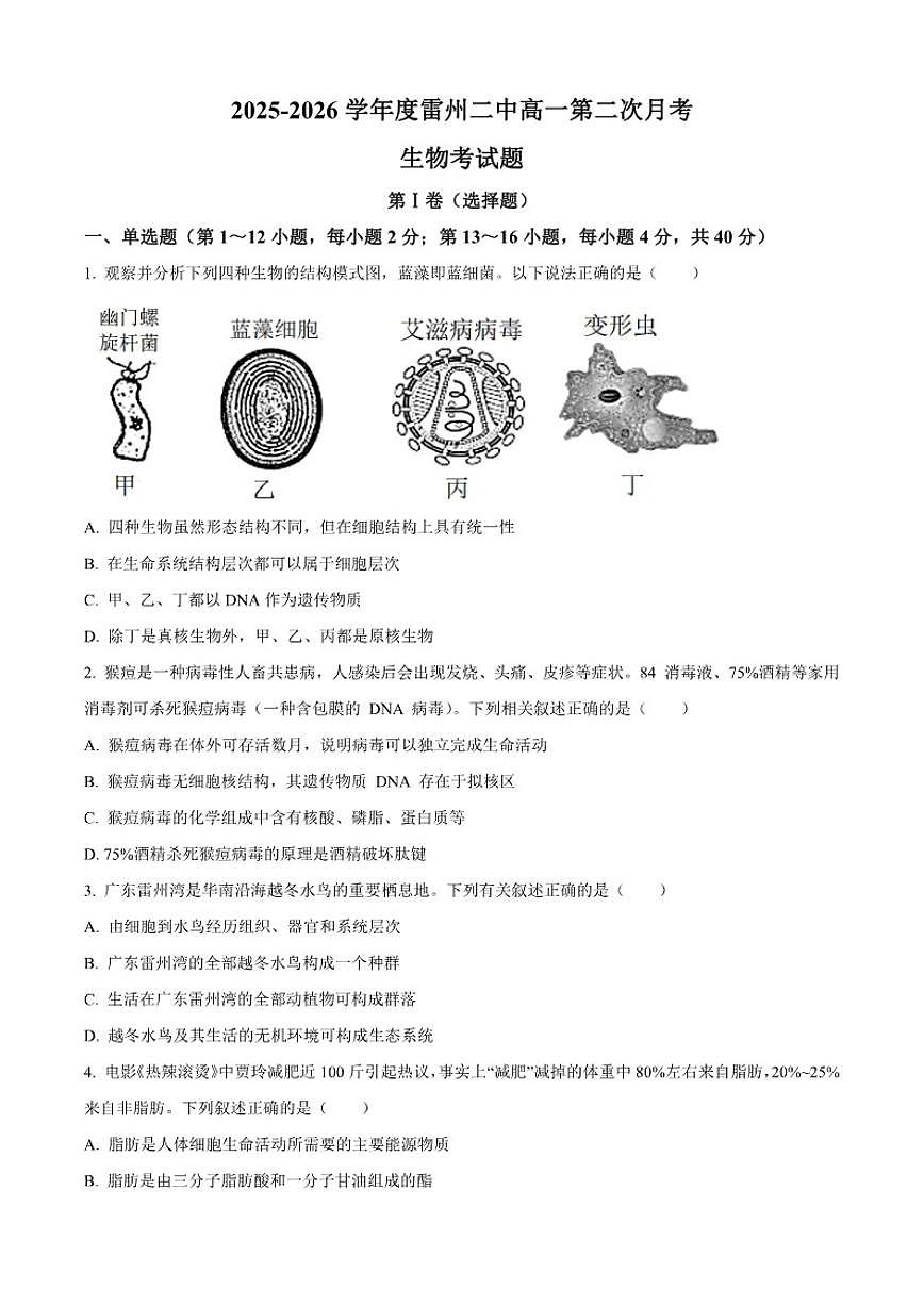 2025-2026学年广东省湛江市雷州市第二中学高一上学期10月月考生物试题（有答案）第1页