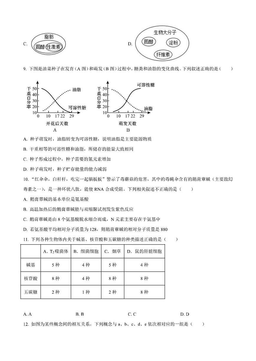 2025-2026学年广东省湛江市雷州市第二中学高一上学期10月月考生物试题（有答案）第3页