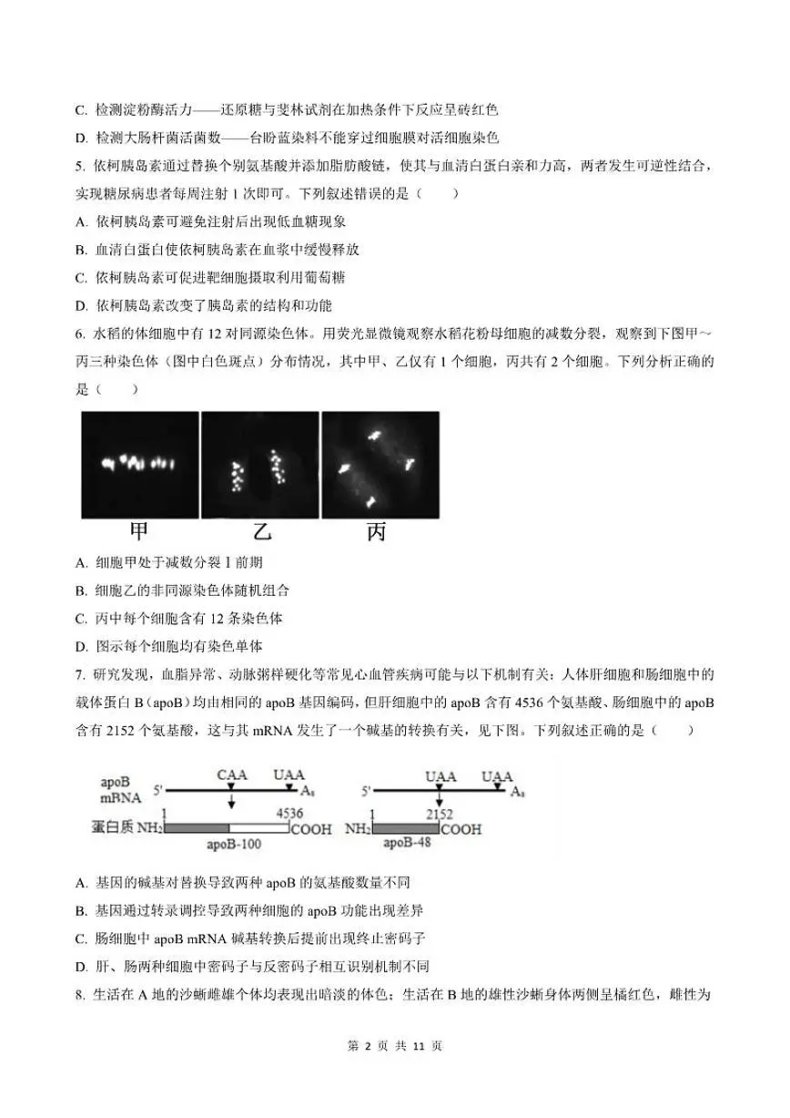 2026届广东省高三上学期月考生物学试卷（有解析）第2页
