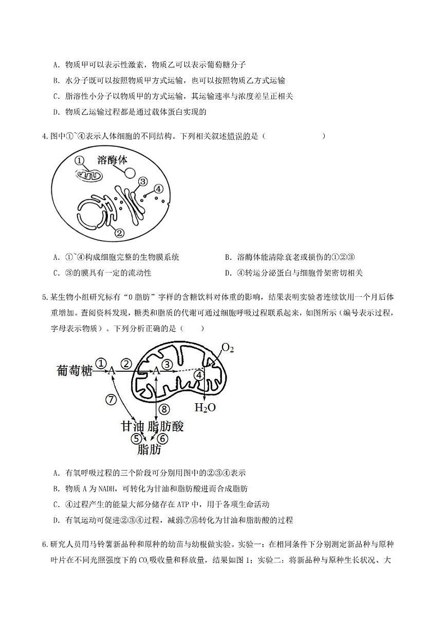 2026届河南省郑州市中牟县第一高级中学高三上学期一测模拟考试生物试卷（有答案）第2页