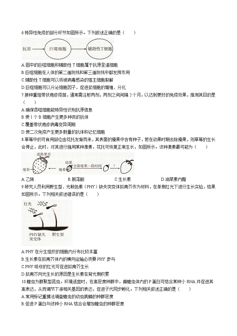 辽宁省抚顺市六校协作体2025-2026学年高二上学期期末联考生物试题（Word版附解析）第2页