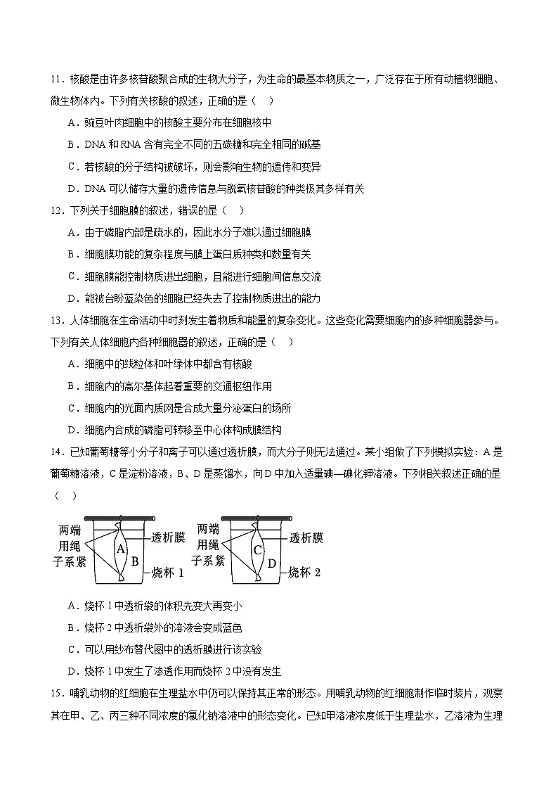 西藏自治区拉萨市2025-2026学年高一上学期期末联考生物试题（Word版附答案）第3页
