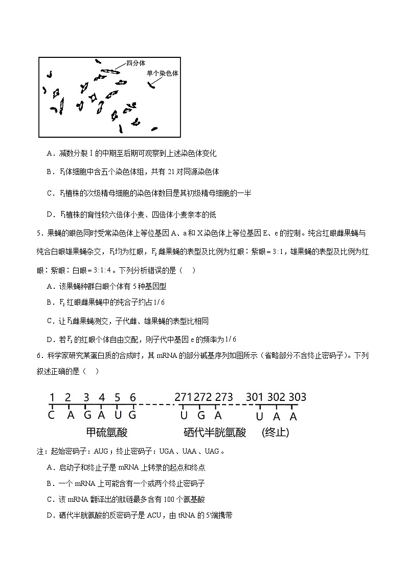 河北省沧州市重点高中2026届高三上学期12月一模考试 生物试卷(含答案）第2页