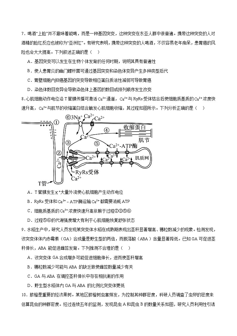 河北省沧州市重点高中2026届高三上学期12月一模考试 生物试卷(含答案）第3页