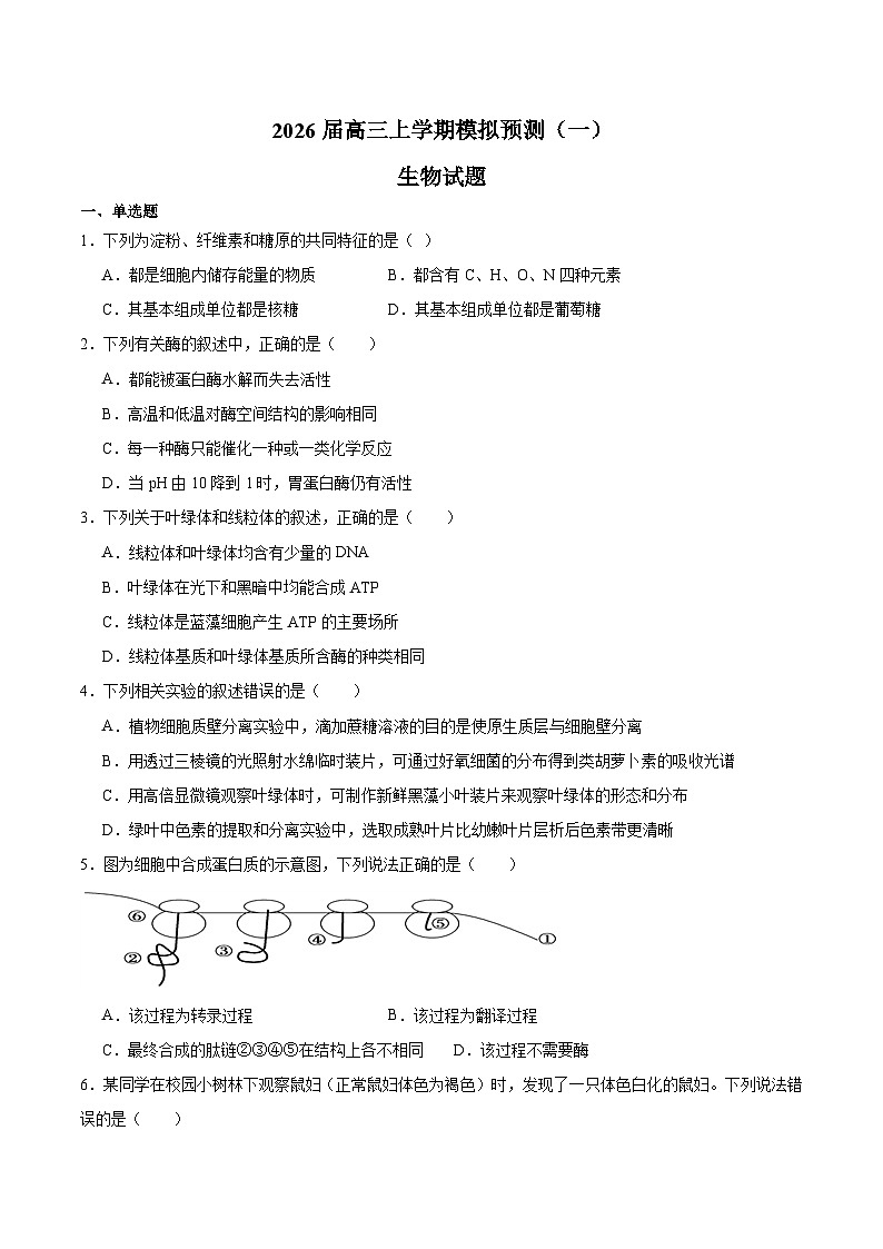 贵州省铜仁市重点高中2026届高三上学期模拟预测（一）生物试卷(含答案）第1页