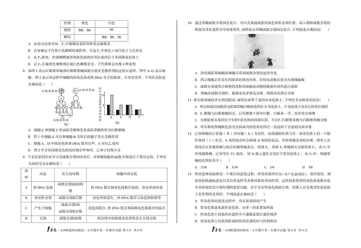 安徽省皖智1号卷A10联盟2024级高一下学期4月期中考生物试卷（无答案）第2页