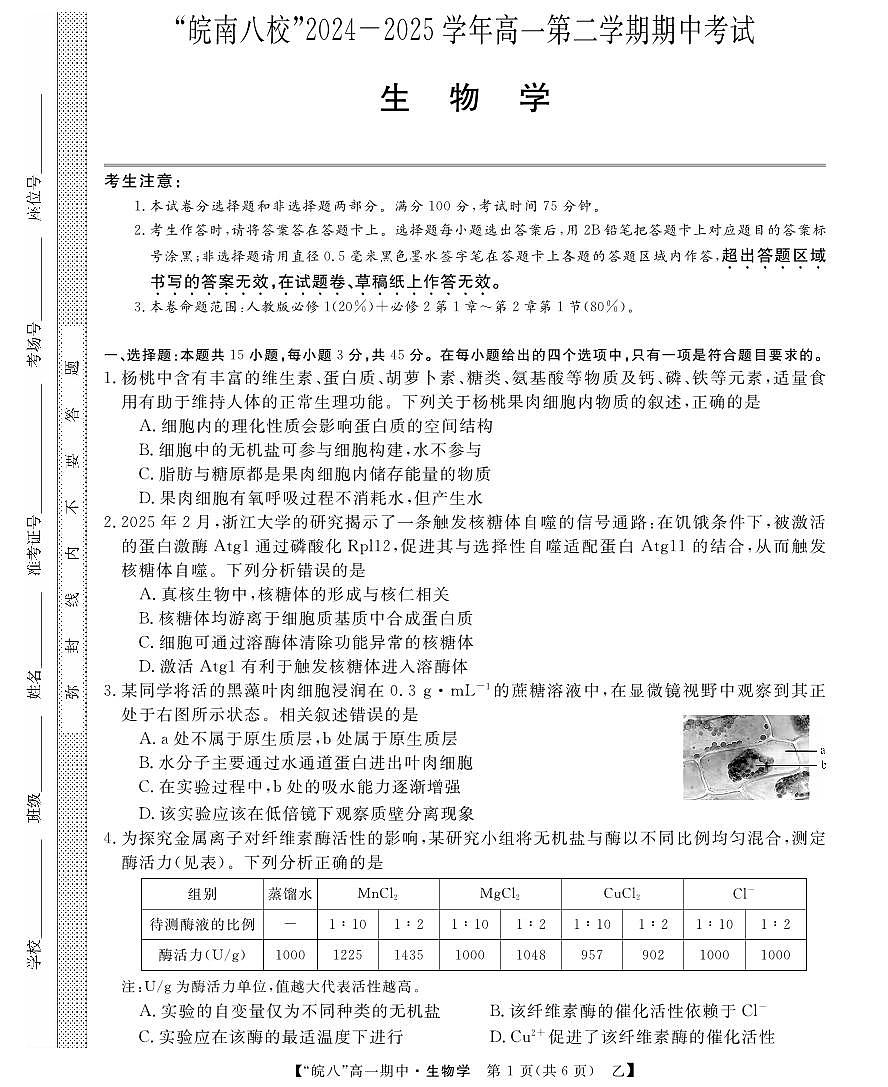 安徽省皖南八校2024-2025学年高一下学期4月期中考试生物试卷（乙）（无答案）第1页
