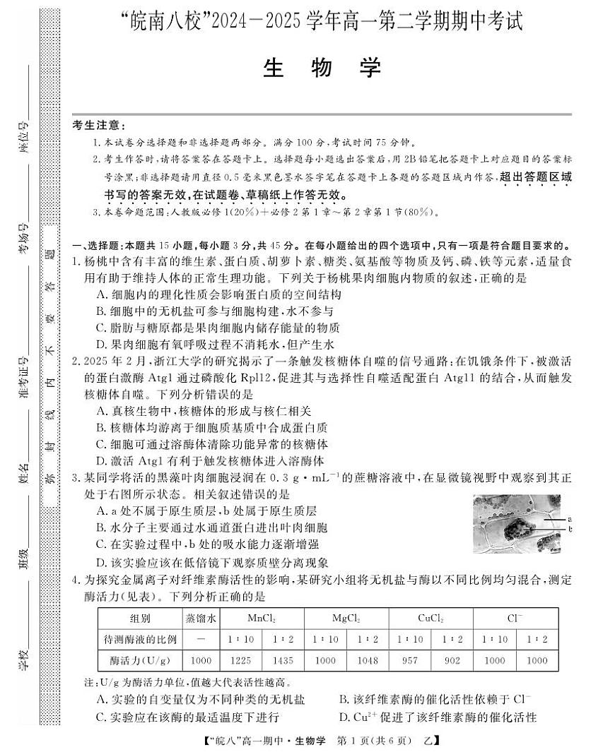 安徽省皖南八校2024-2025学年高一下学期4月期中考试生物试卷（乙）（无答案）第1页