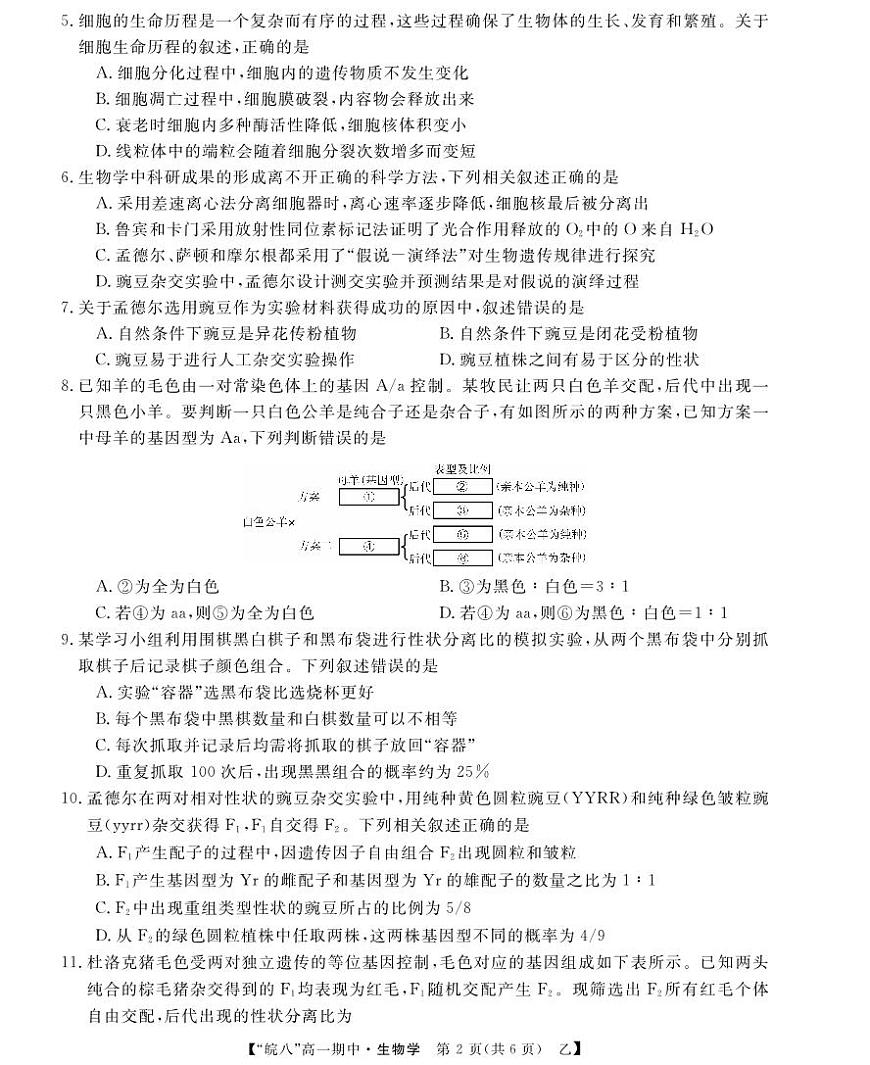 安徽省皖南八校2024-2025学年高一下学期4月期中考试生物试卷（乙）（无答案）第2页