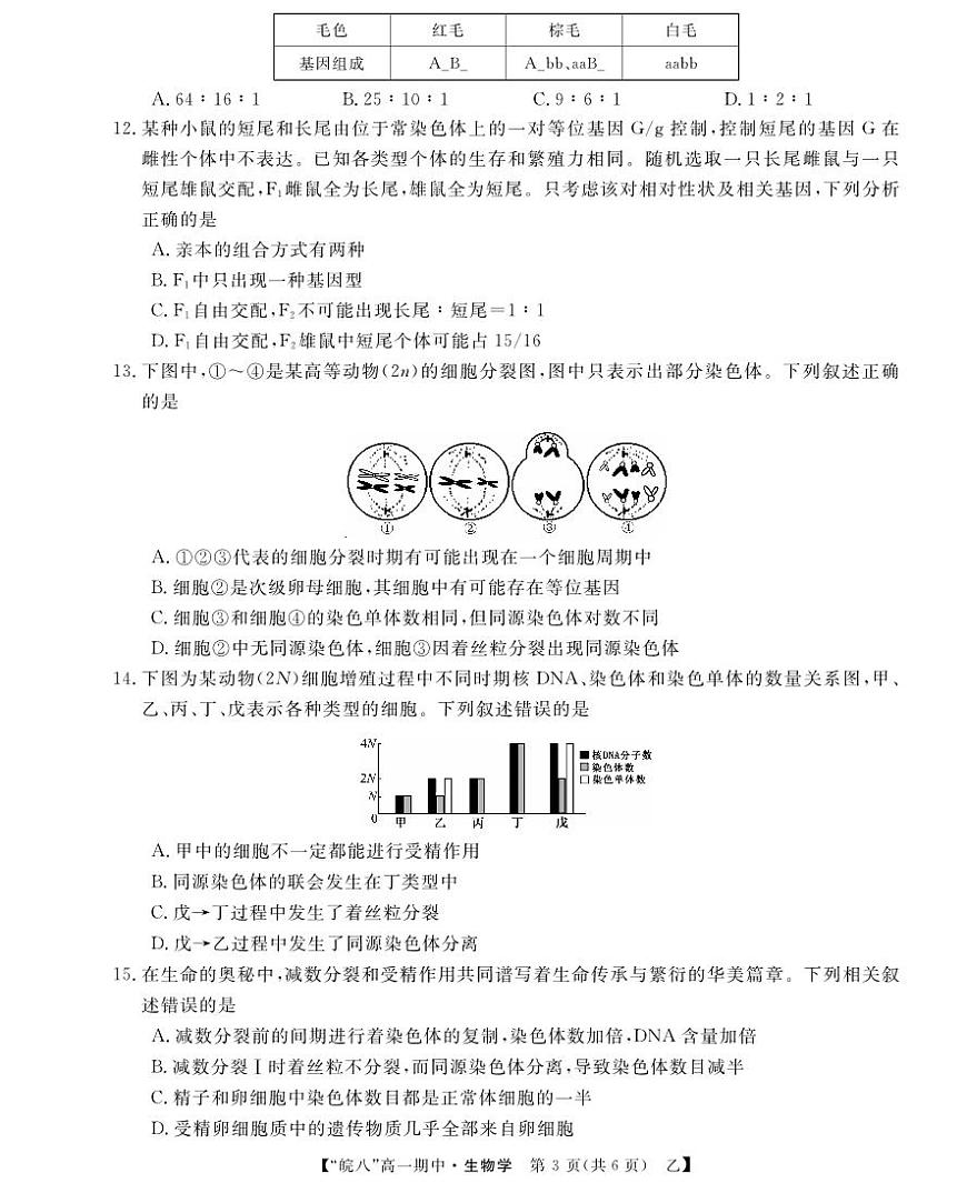 安徽省皖南八校2024-2025学年高一下学期4月期中考试生物试卷（乙）（无答案）第3页