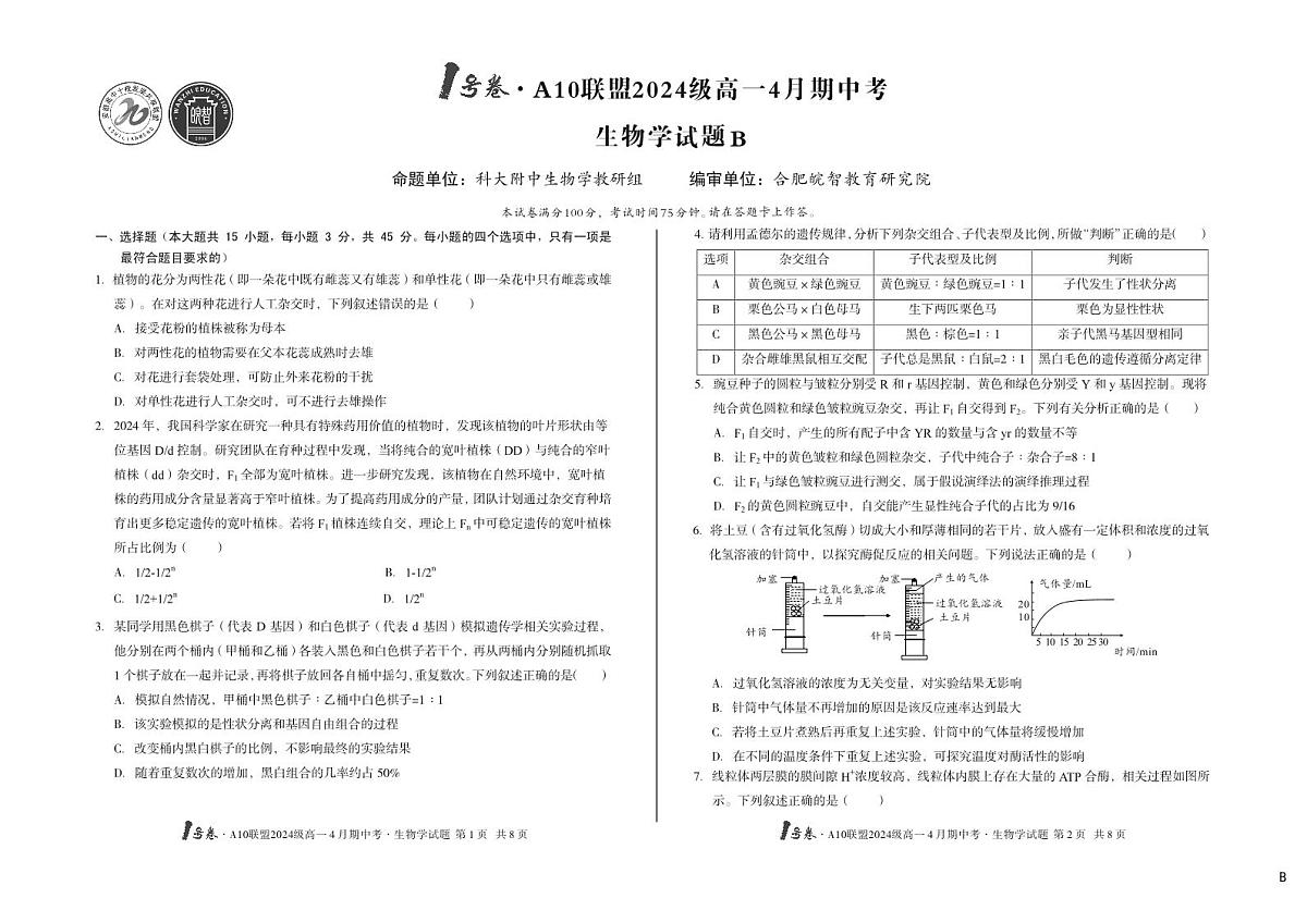 安徽省皖智1号卷A10联盟2024级高一下学期4月期中考生物学试卷B（无答案）第1页