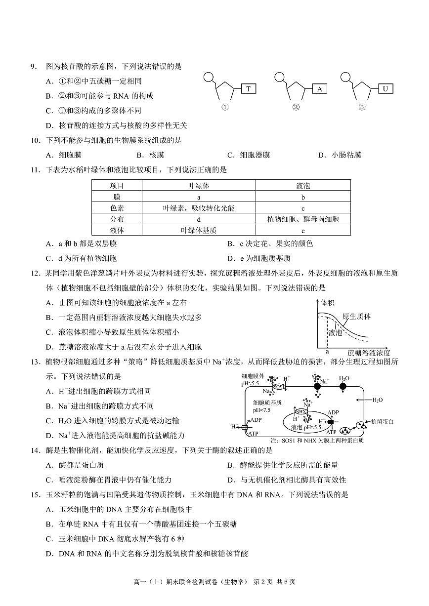 重庆康德2024年秋高一（上）期末联合检测生物试题（无答案）第2页