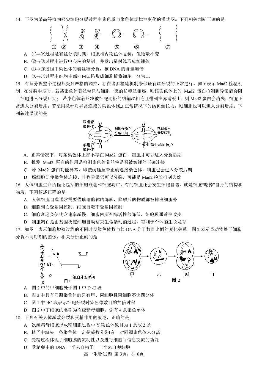 重庆市万州二中2024-2025学年高一下学期3月月考试题生物试卷（无答案）第3页