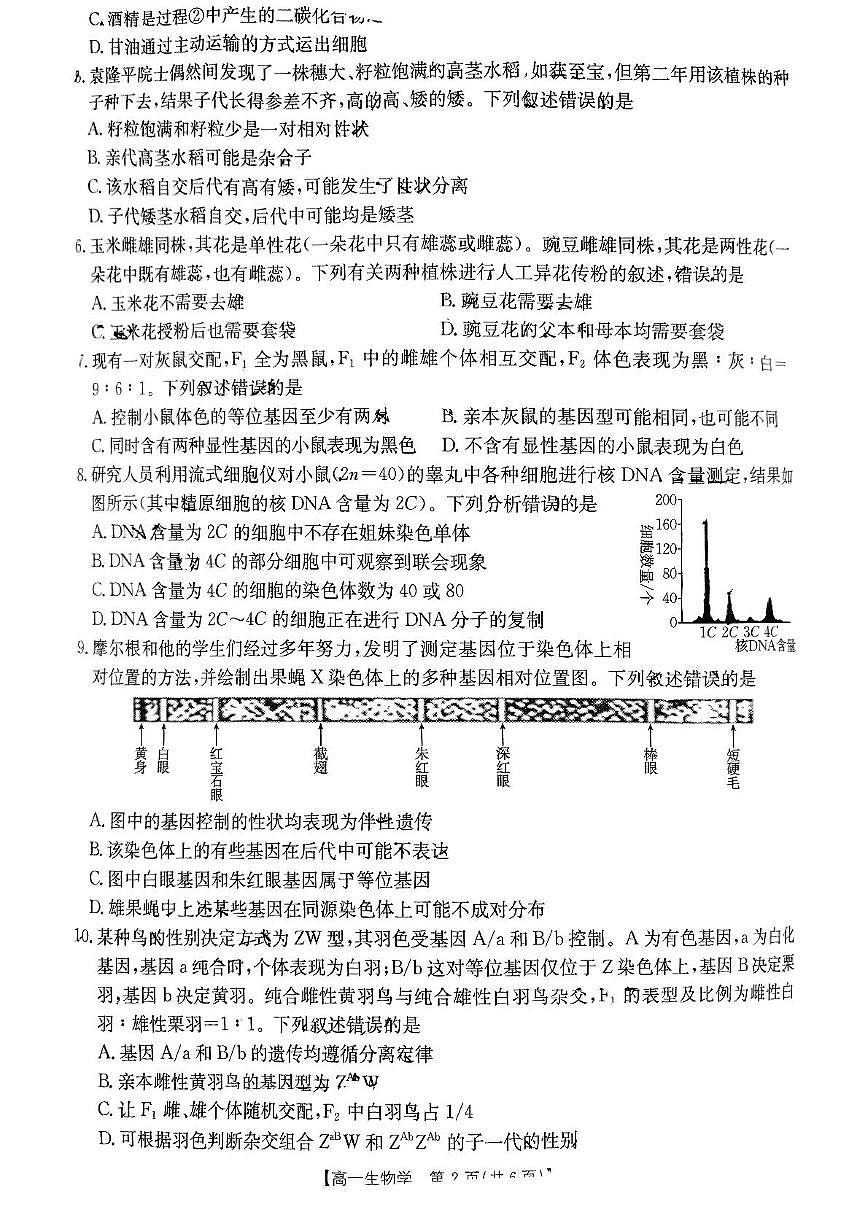 重庆市万州第三中学等多校联考2024-2025学年高一下学期5月月考试题生物试卷（无答案）第2页