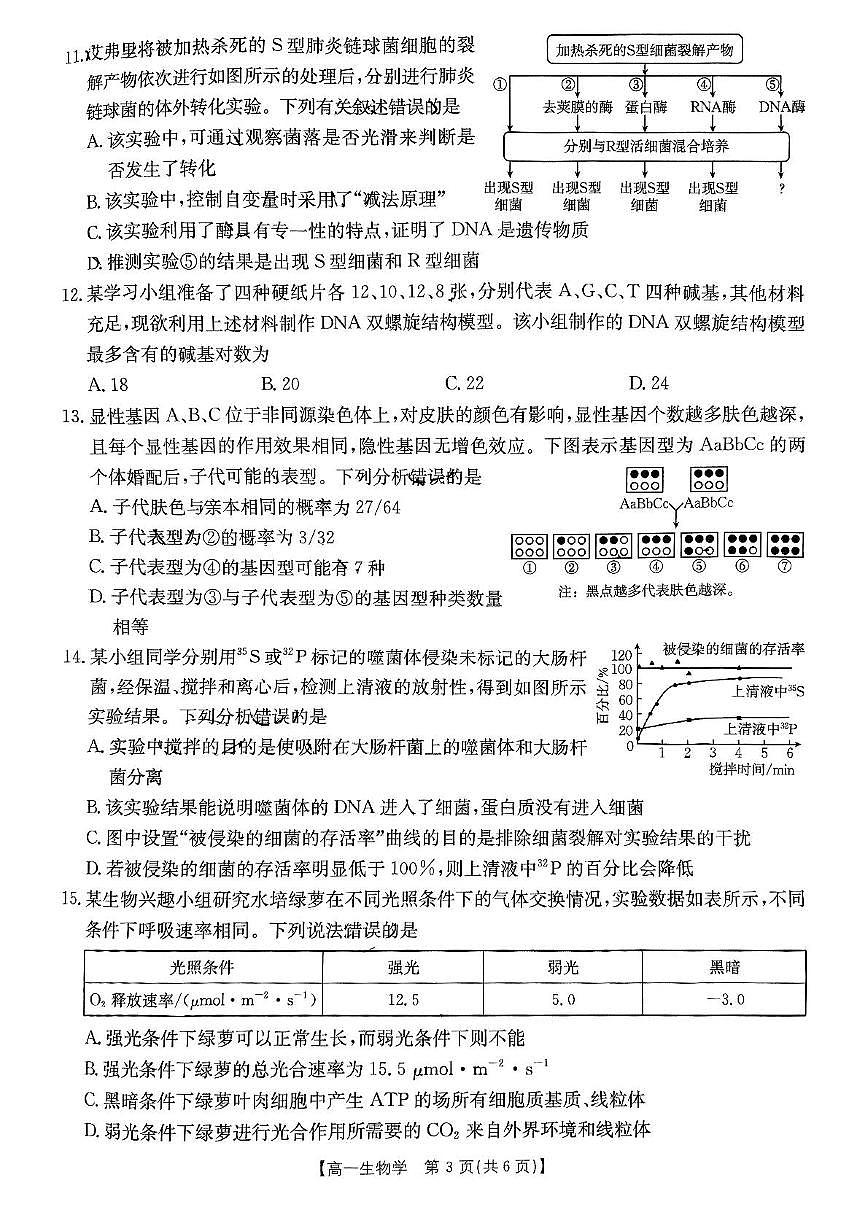 重庆市万州第三中学等多校联考2024-2025学年高一下学期5月月考试题生物试卷（无答案）第3页