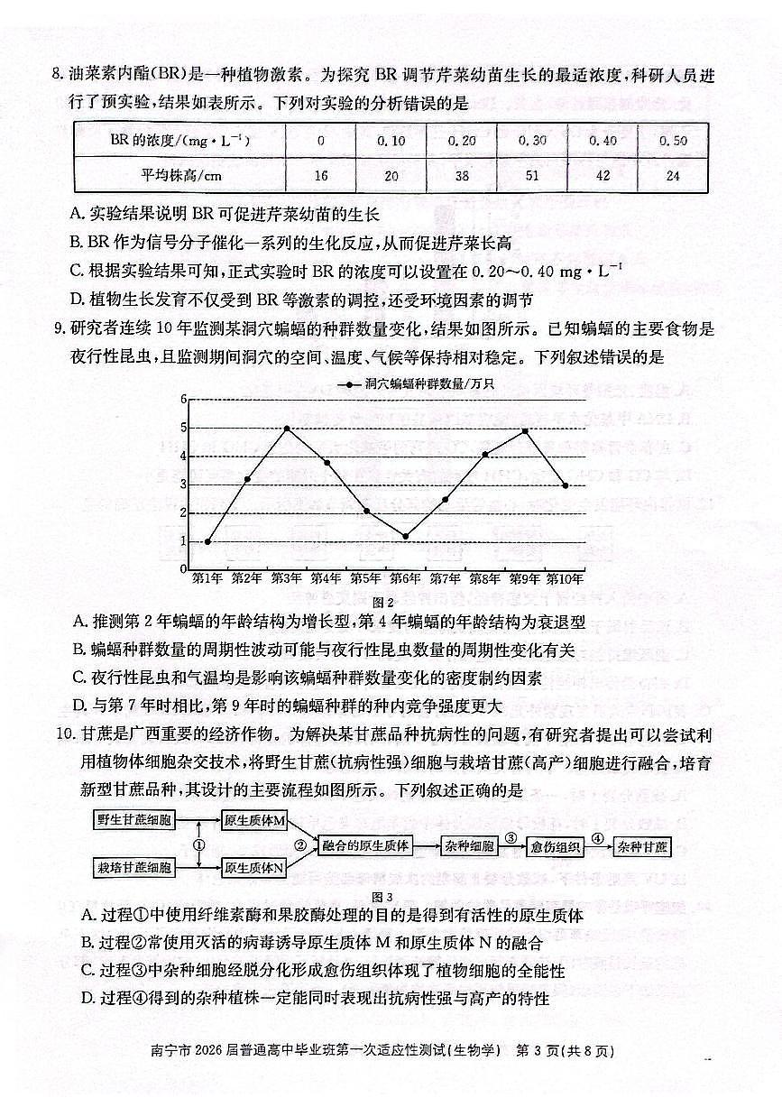 南宁市2026届高三上学期高考一模生物试题（无答案）第3页