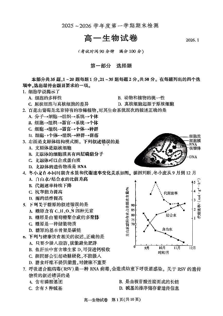 2026北京朝阳高一（上）期末生物试卷第1页