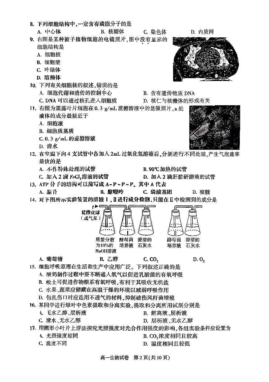 2026北京朝阳高一（上）期末生物试卷第2页