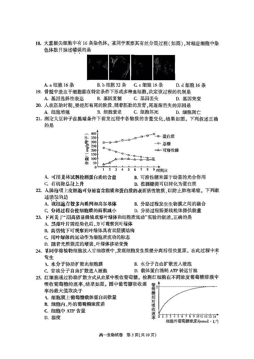2026北京朝阳高一（上）期末生物试卷第3页