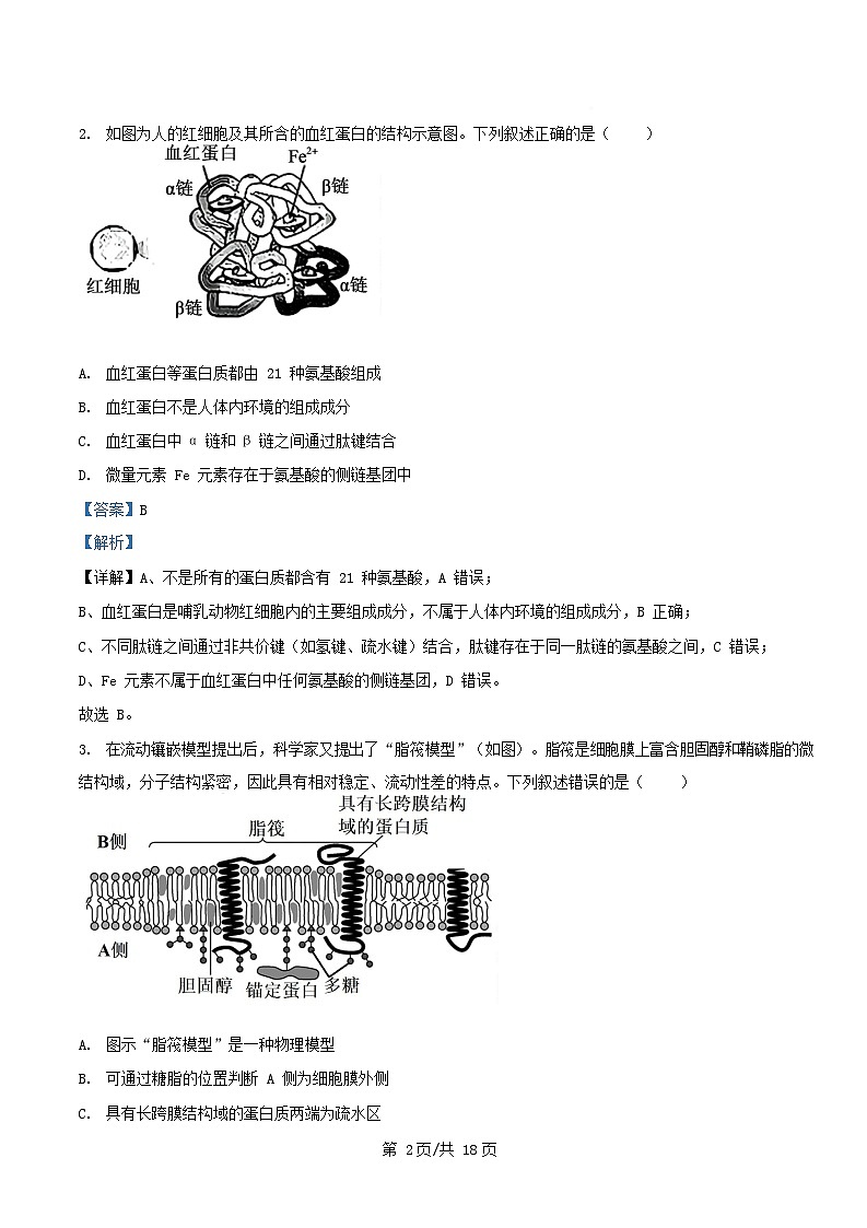 安徽省2025_2026学年高三生物上学期12月联考试卷含解析第2页