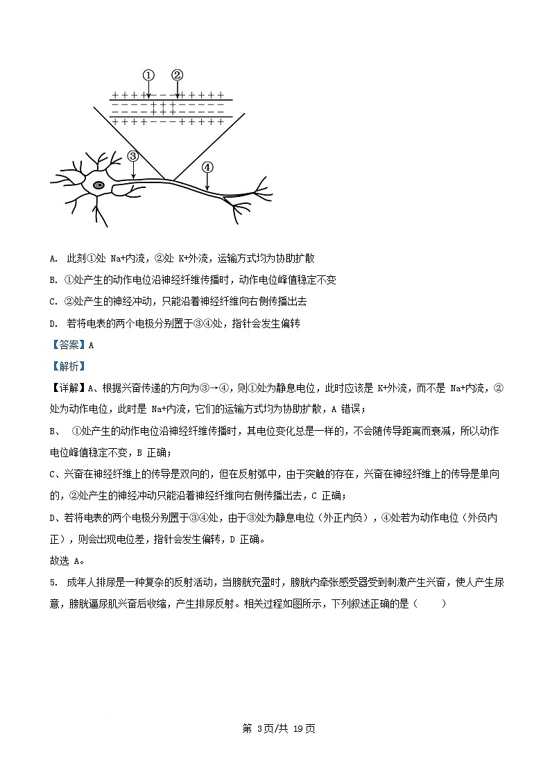 安徽省芜湖市2025_2026学年高二生物上学期12月期中试题含解析第3页