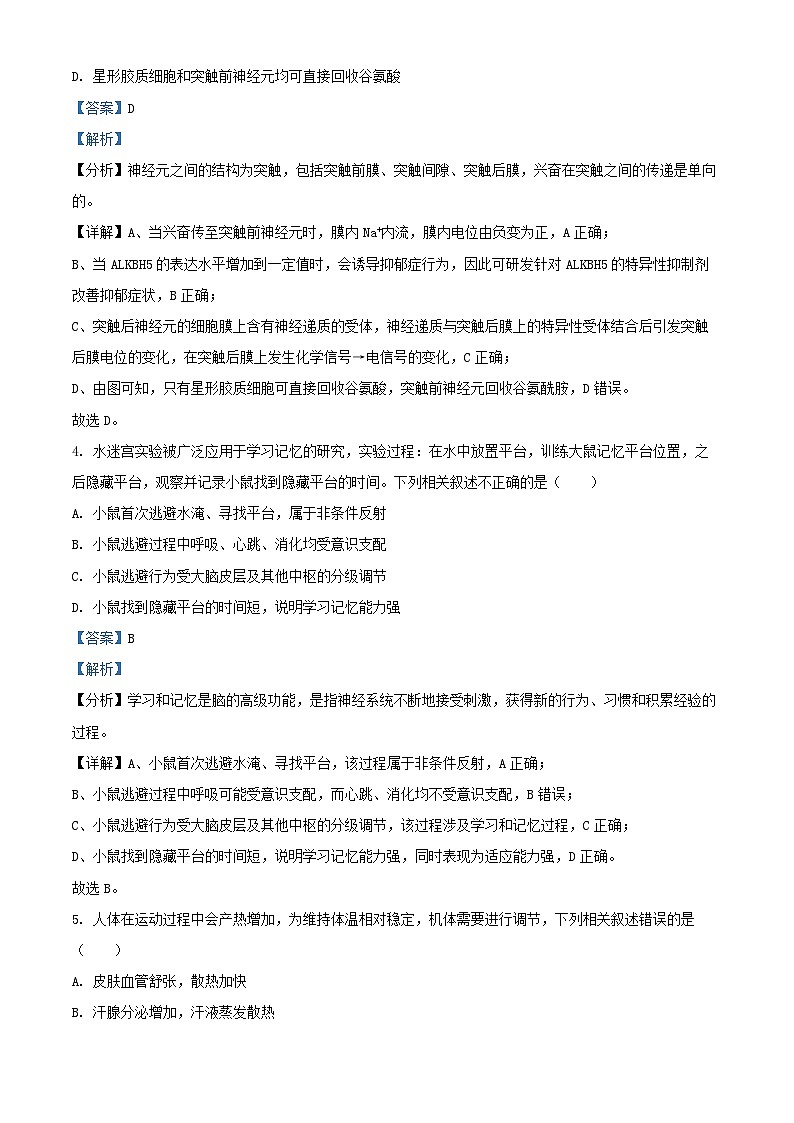 北京市朝阳区2024_2025学年高二生物上学期1月期末质量检测试卷含解析第3页