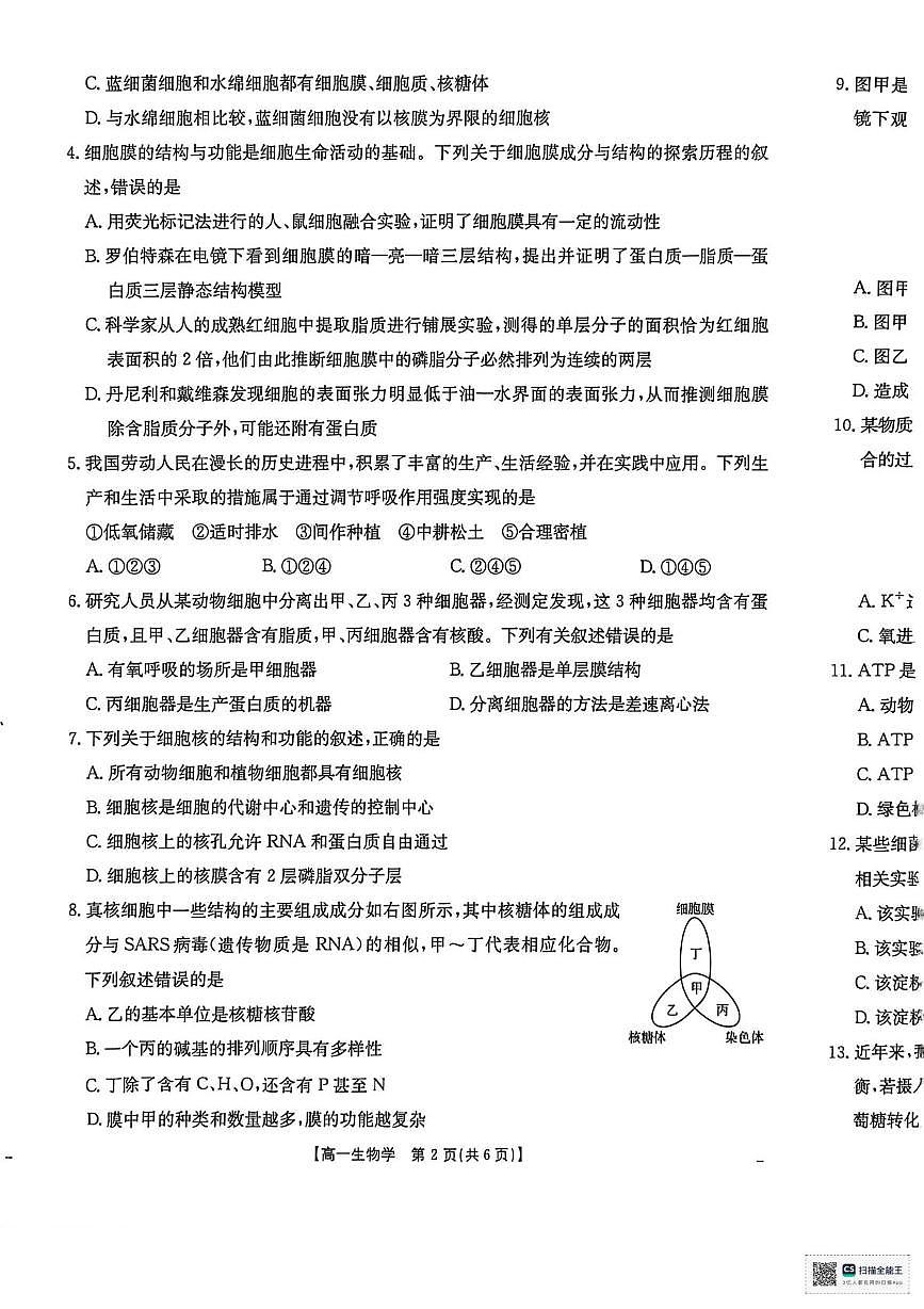 2026届河南省南阳市邓州市十校高一上学期期末摸底考试生物试题第2页