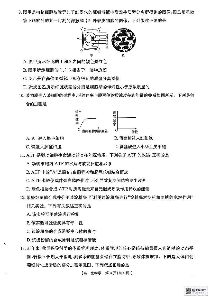 2026届河南省南阳市邓州市十校高一上学期期末摸底考试生物试题第3页