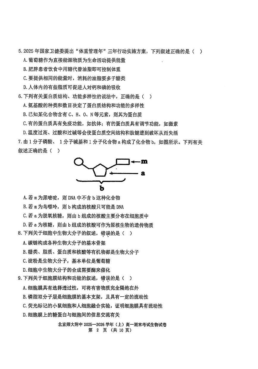 北京师范大学附属中学2025-2026学年高一上学期期末生物试题第2页