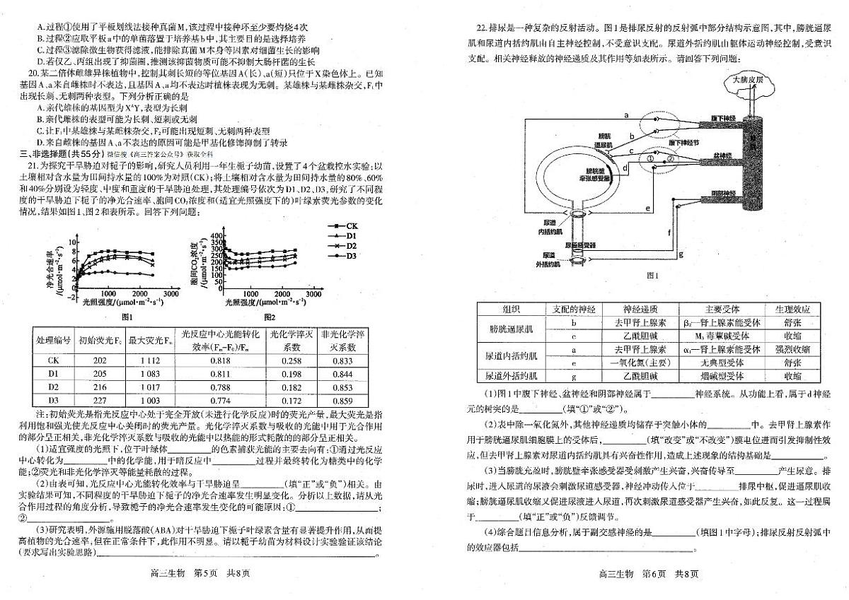 生物-辽宁省协作校2025-2026学年度上学期高三年级期末考试卷及答案第3页