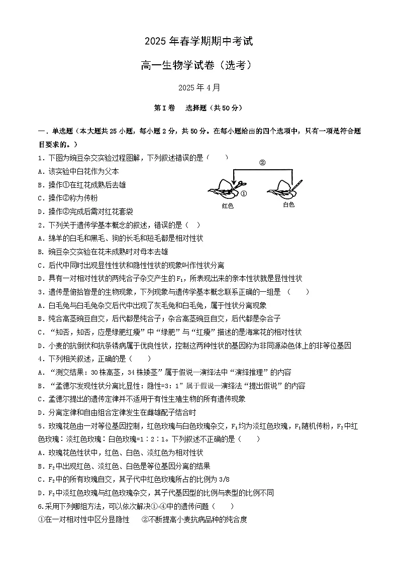 甘肃省张掖市某校2024-2025学年高一下学期期中考试生物试卷（选考）-A4第1页