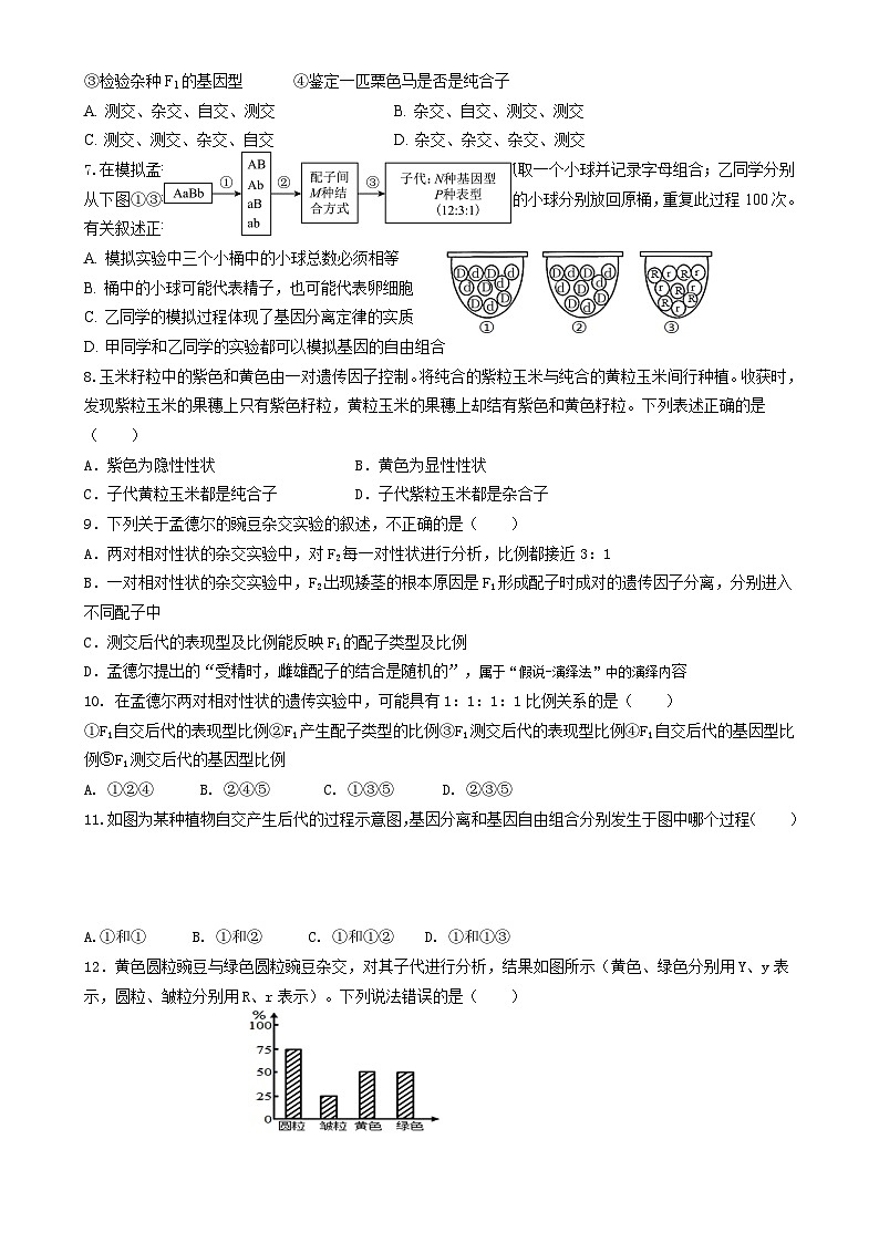 甘肃省张掖市某校2024-2025学年高一下学期期中考试生物试卷（选考）-A4第2页
