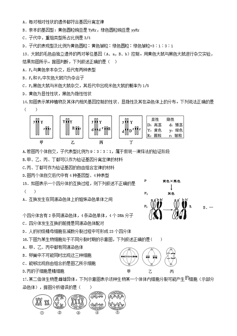 甘肃省张掖市某校2024-2025学年高一下学期期中考试生物试卷（选考）-A4第3页