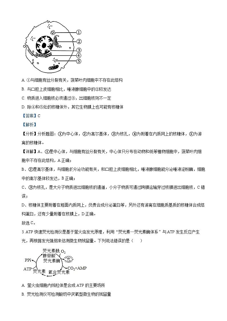 甘肃省白银市靖远县第一中学2024-2025学年高三上学期1月期末生物试题（解析版）-A4第2页