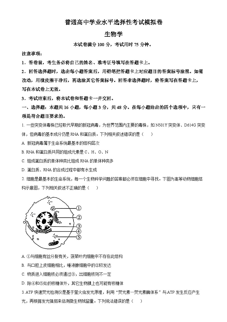甘肃省白银市靖远县第一中学2024-2025学年高三上学期1月期末生物试题（原卷版）-A4第1页