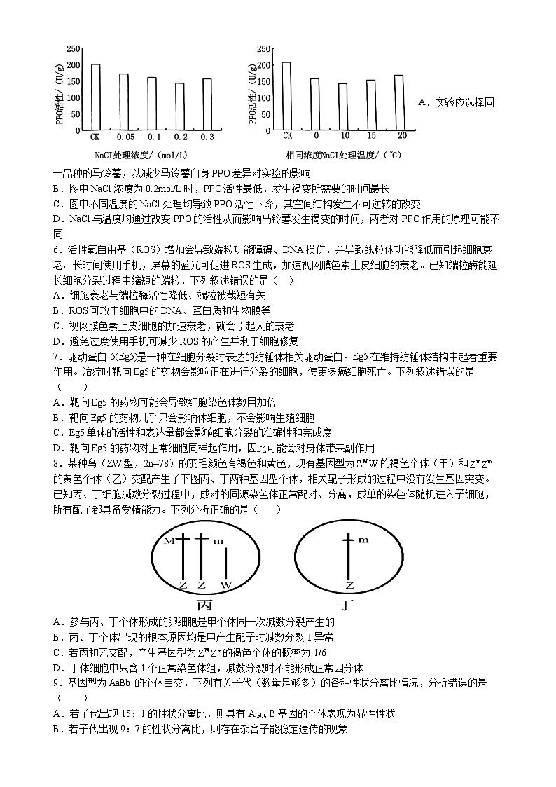 甘肃省平凉市第一中学2024-2025学年高三上学期第五次月考（期末）生物试卷-A4第2页