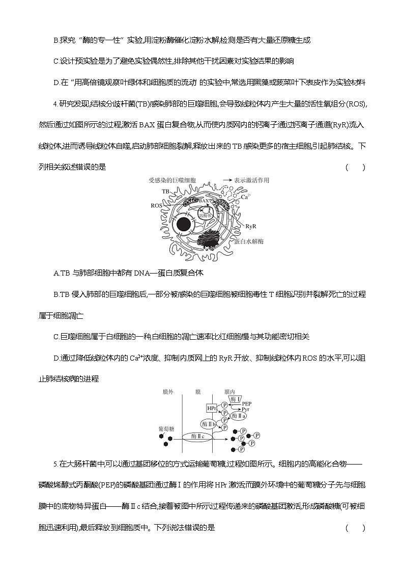 甘肃省张掖市某校2024-2025学年高三下学期二月检测生物试卷-A4第2页