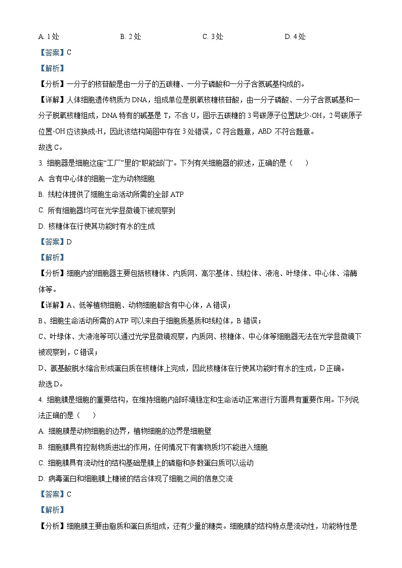 甘肃省白银市2024-2025学年高一上学期期末生物试题（解析版）-A4第2页