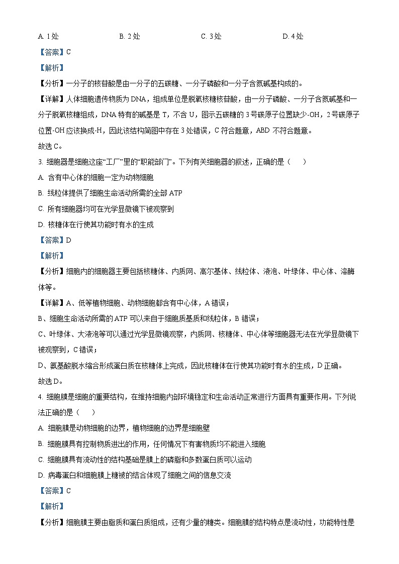 甘肃省白银市2024-2025学年高一上学期期末生物试题（解析版）-A4第2页