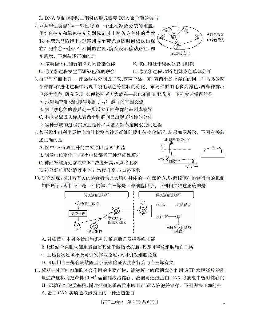 青海省2026届高三上学期12月联考（26-205C）生物试卷+答案第2页